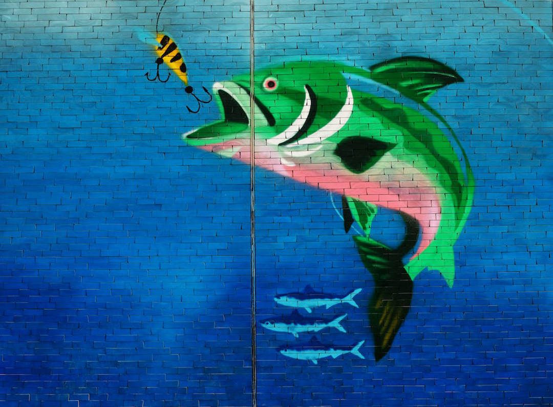 Green Fish Blue Painting Wallpaper