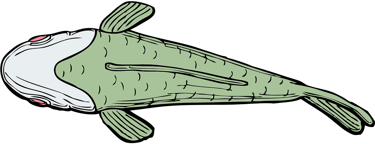 Green Fish Cartoon Illustration PNG