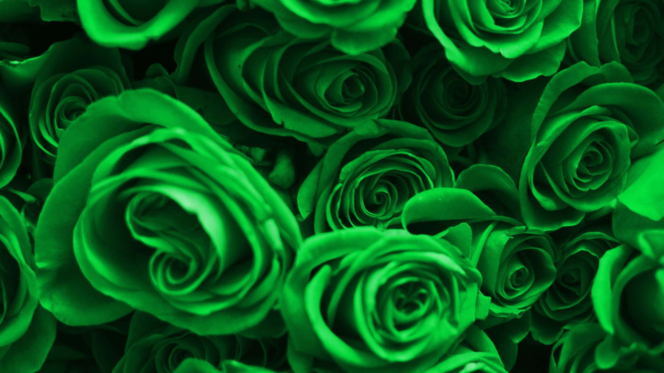Green Floral Background with a Vibrant Nature Theme