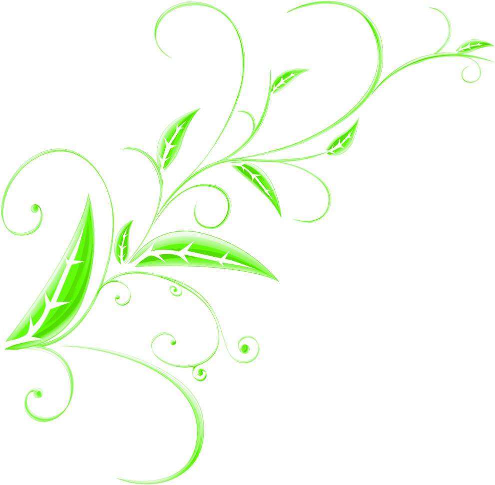 Green Floral Design Element.png PNG