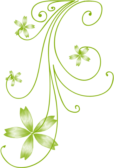 Green Floral Design Graphic PNG