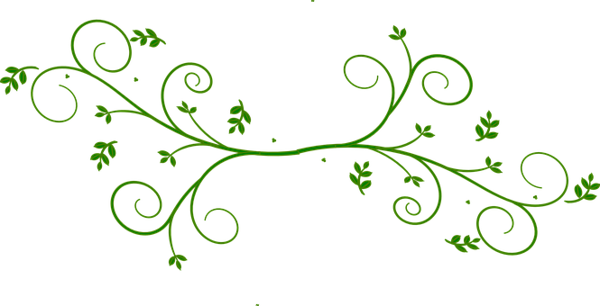 Green Floral Designon Black Background PNG