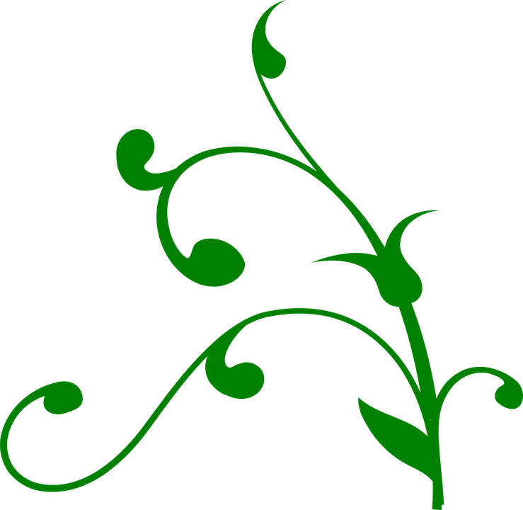 Green Floral Graphic Design PNG