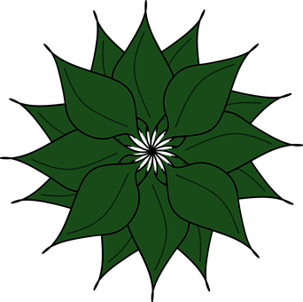 Green Floral Graphic Illustration PNG