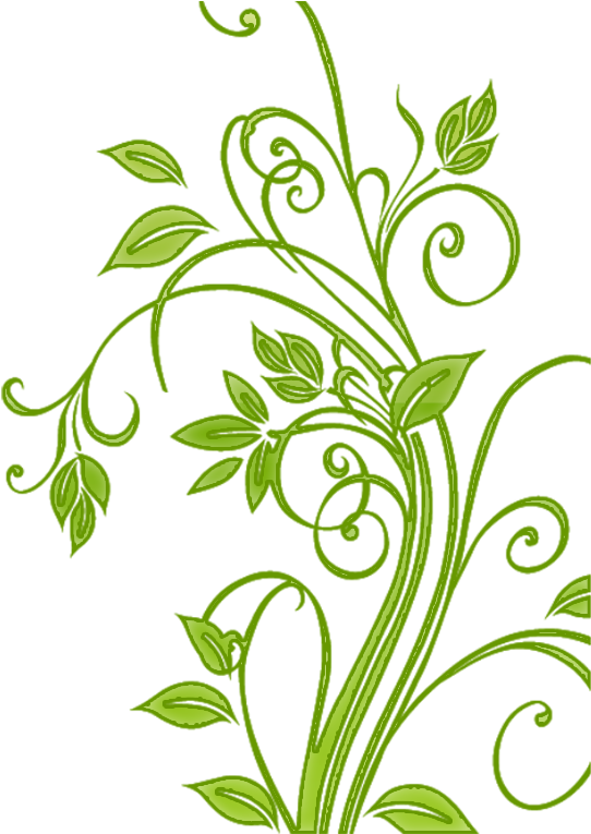 Green Floral Vector Art PNG