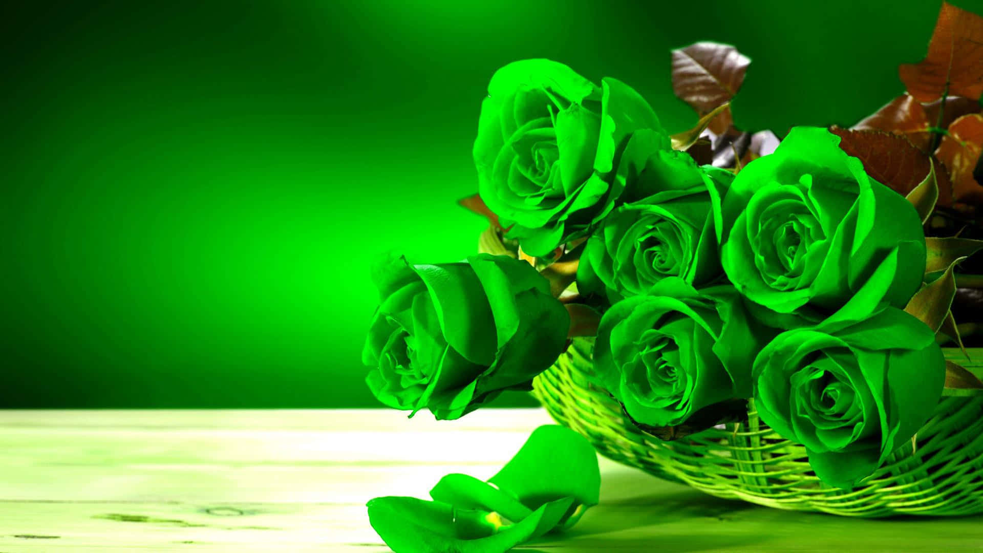 Download Green Flower Background | Wallpapers.com