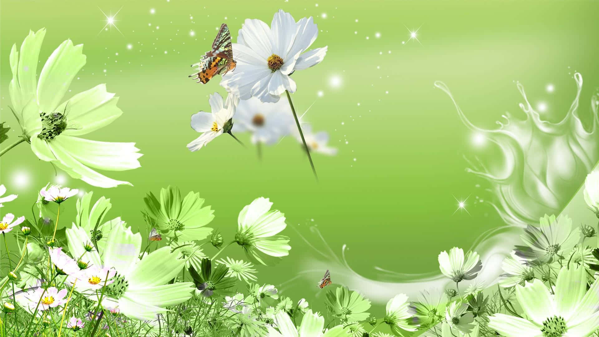 Green Floral Background Images, HD Pictures and Wallpaper For Free Download
