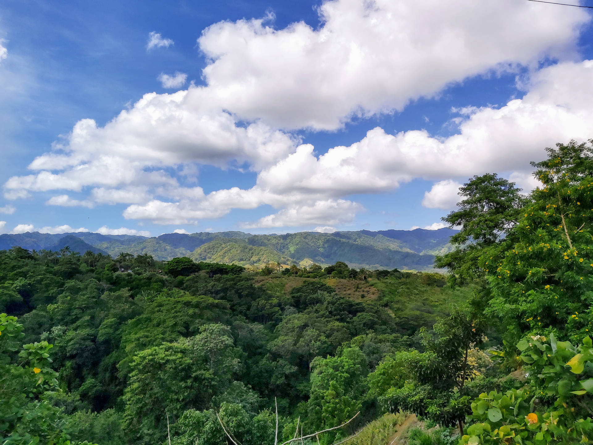 Grøn skov og blå himmel Nicaragua tapet Wallpaper
