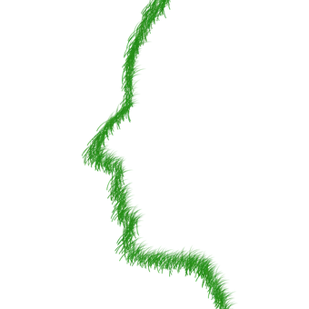 Green Fractal Silhouette PNG