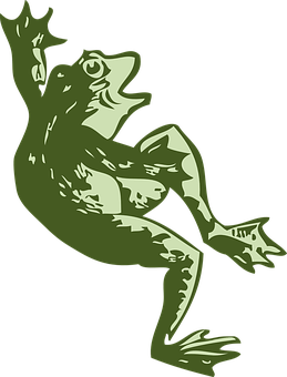 Green Frog Illustration PNG