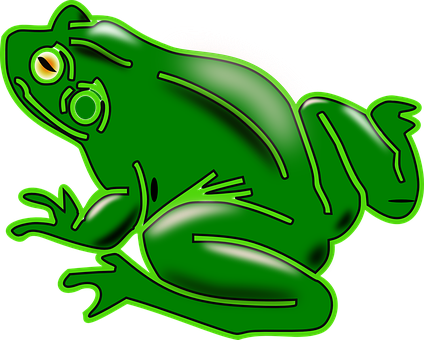 Green Frog Illustration PNG
