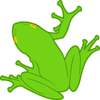 Green Frog Illustration PNG