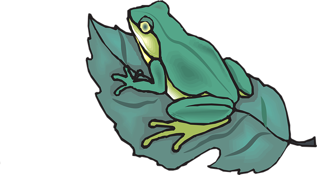 Green Frog On Leaf Illustration PNG