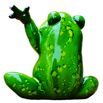 Green Frog Raindrops Backlit PNG