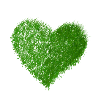 Green Furry Heart Graphic PNG