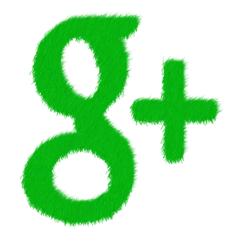 Green Fuzzy Google Plus Logo PNG