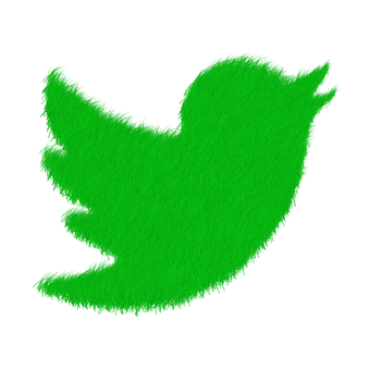Green Fuzzy Twitter Bird Logo PNG