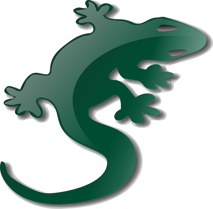 Green Gecko Graphic PNG