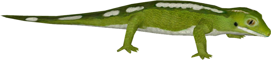 Green Gecko Illustration PNG