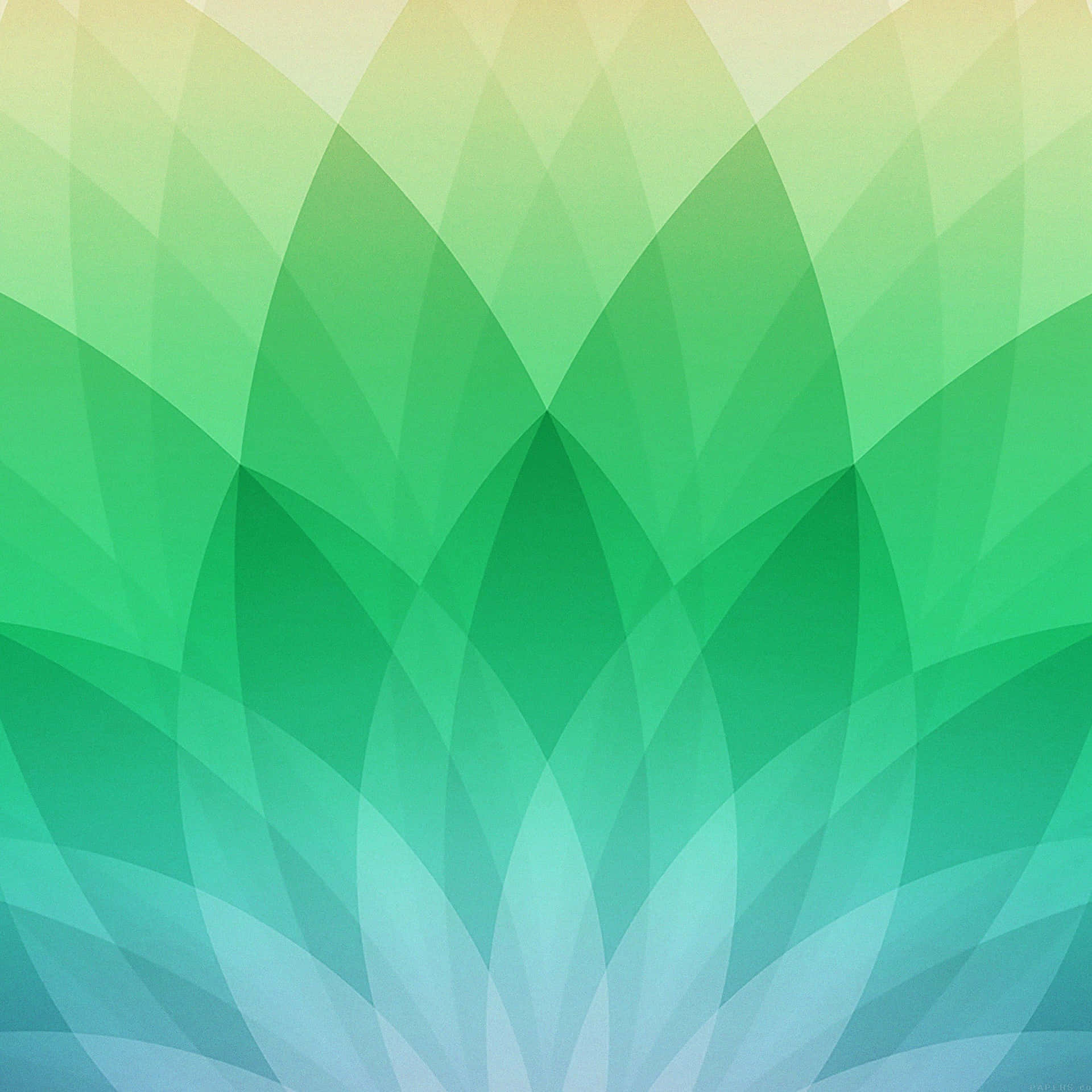 Green Geometric Gradient Background Wallpaper