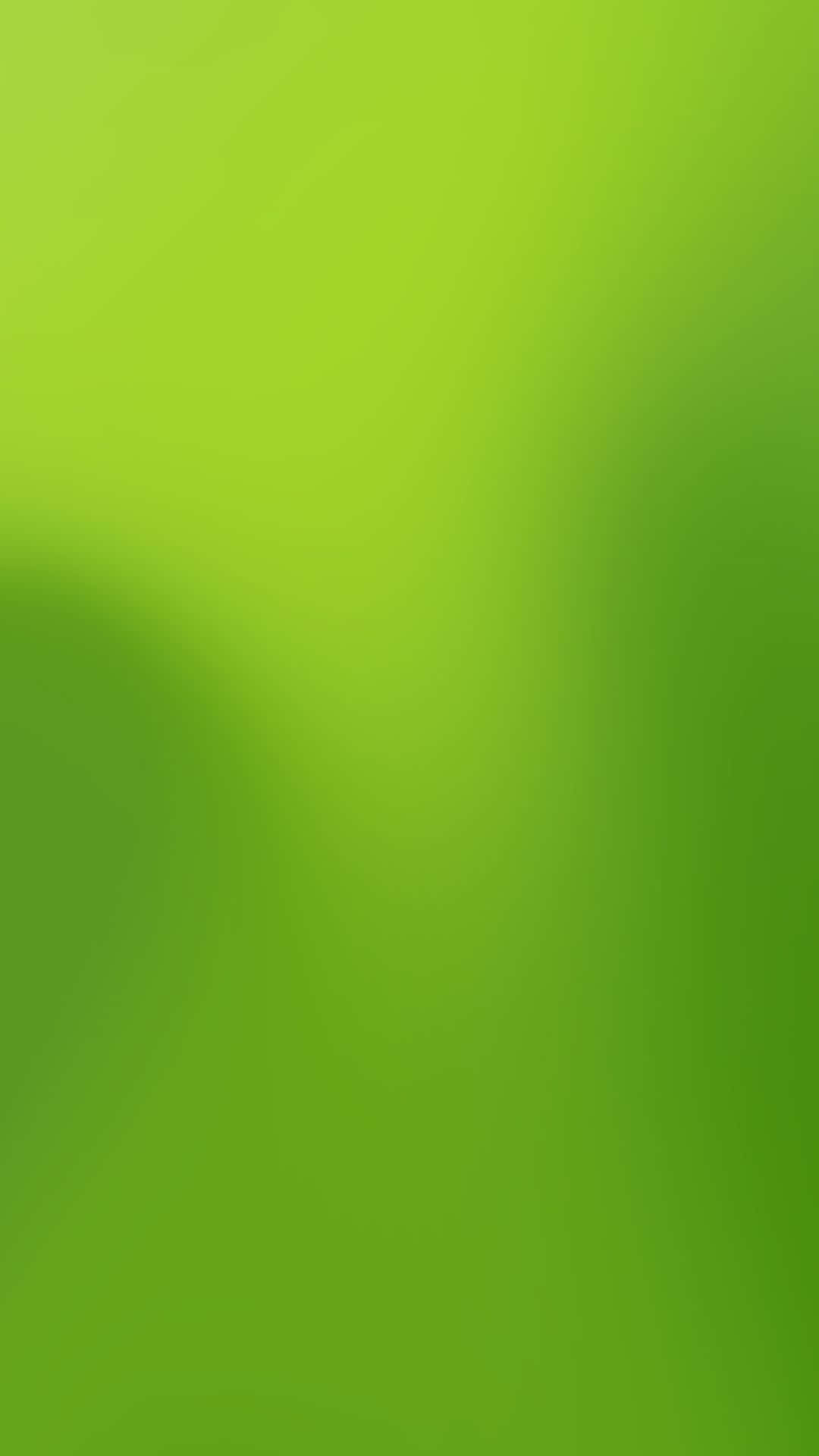 Vibrant green gradient background