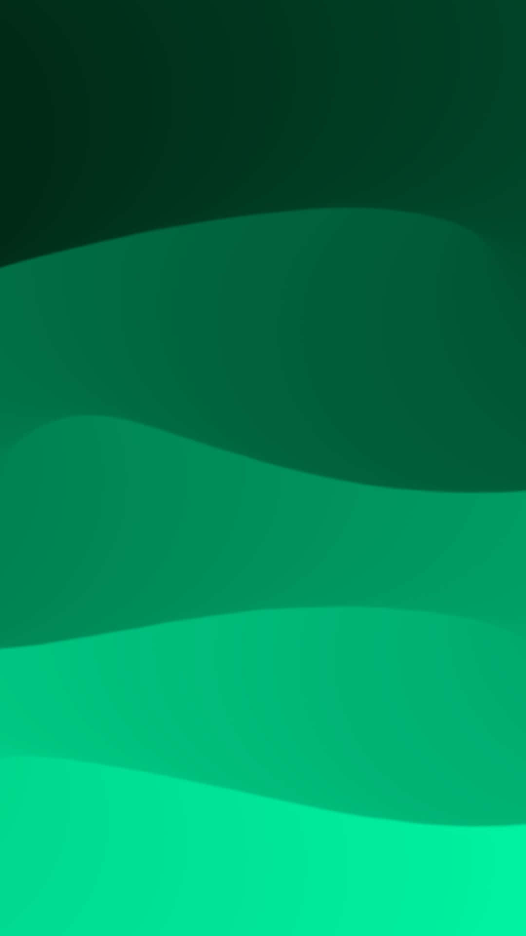 Get inspired by the beautiful green gradient background