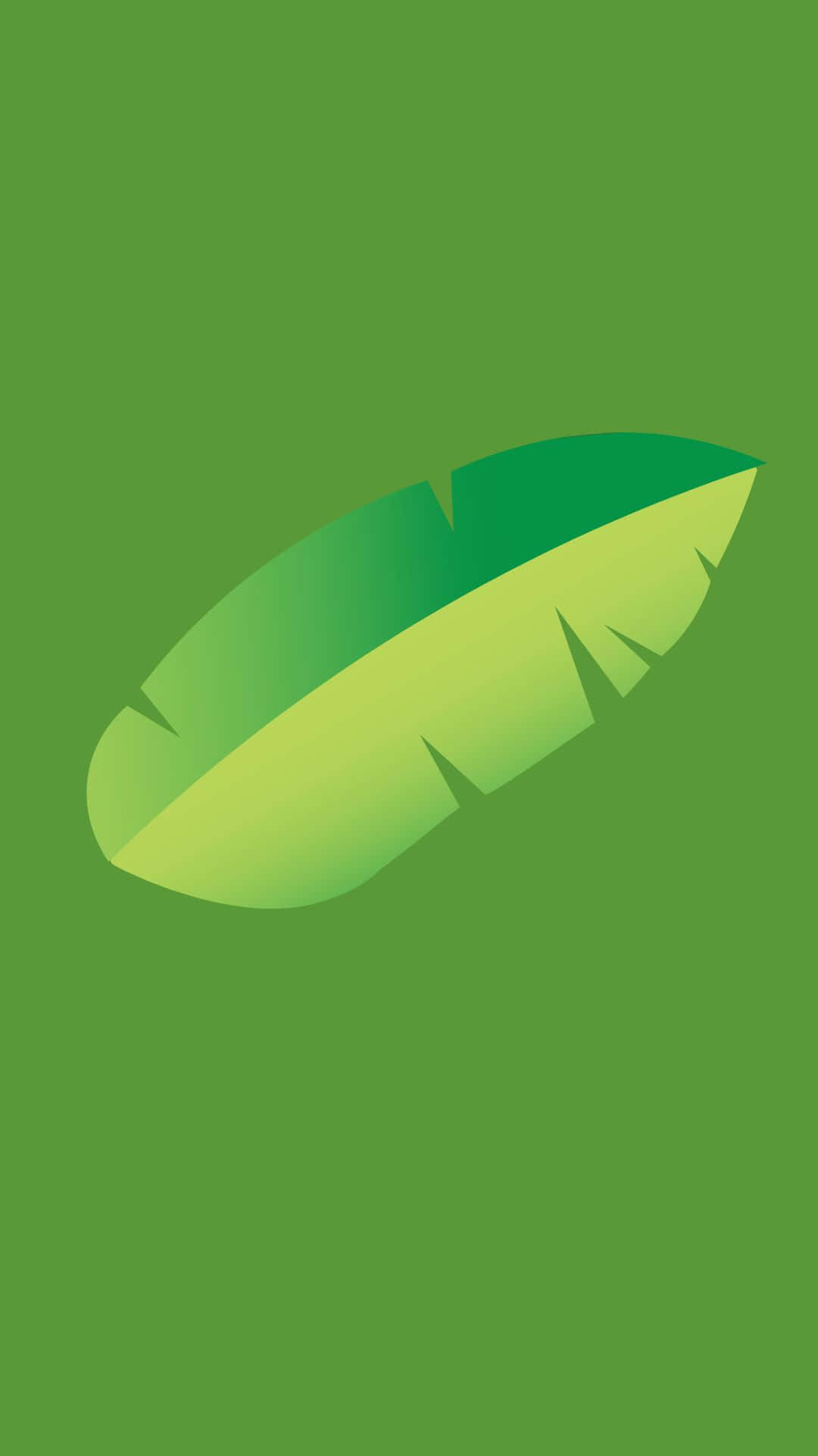 A Green Leaf On A Green Background