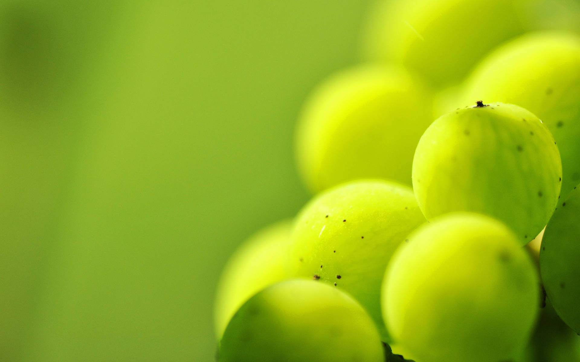Primo Piano Dell'uva Verde Sfondo