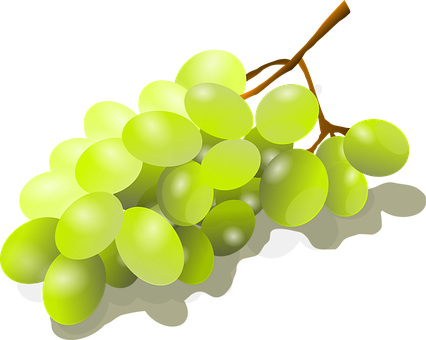 Green Grape Cluster Illustration PNG