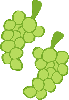 Green_ Grape_ Clusters_ Vector_ Illustration PNG