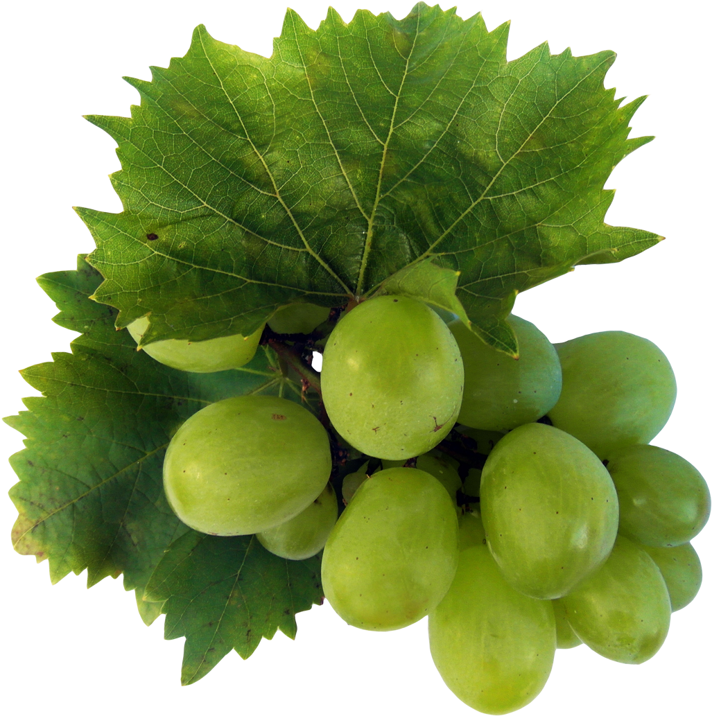 Green Grapeswith Leaves PNG