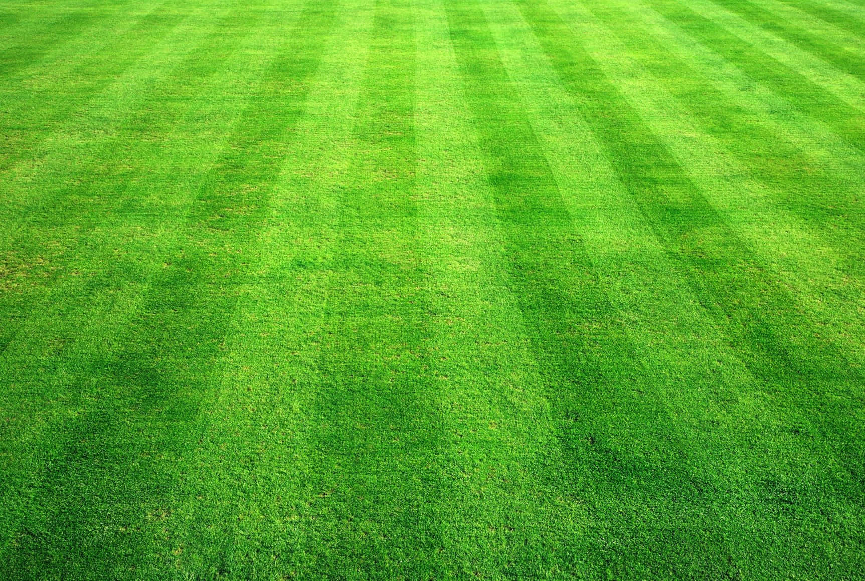 A Green Grass Field With A Striped Background