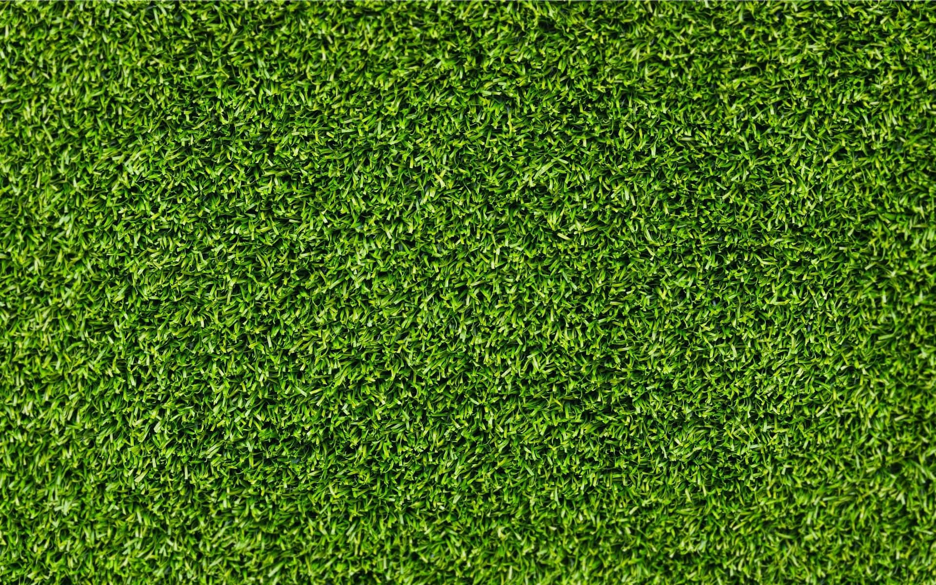 Artificial Grass Background