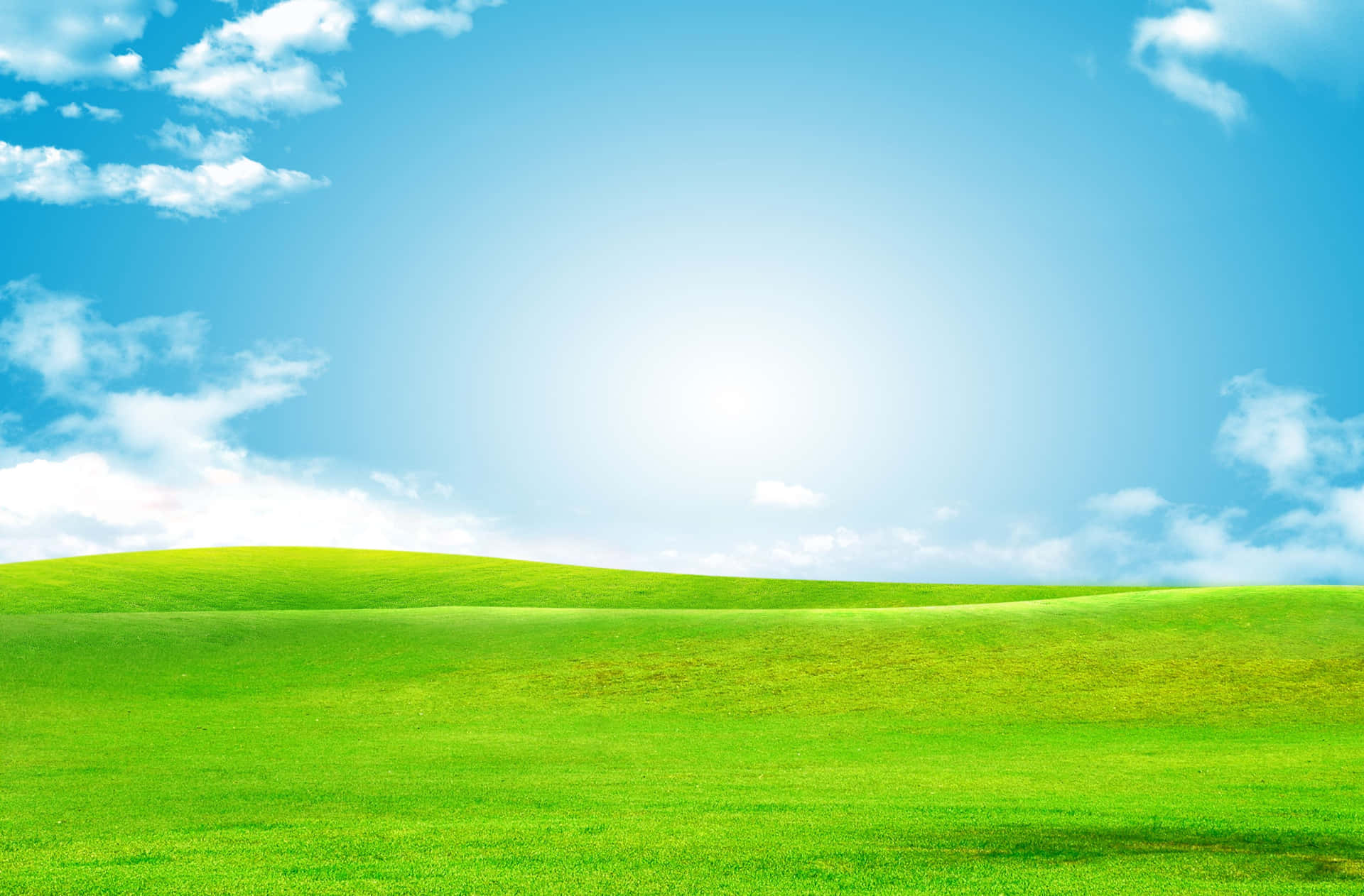 Immaginedi Un Campo Di Erba Verde Con Il Sole Che Splende