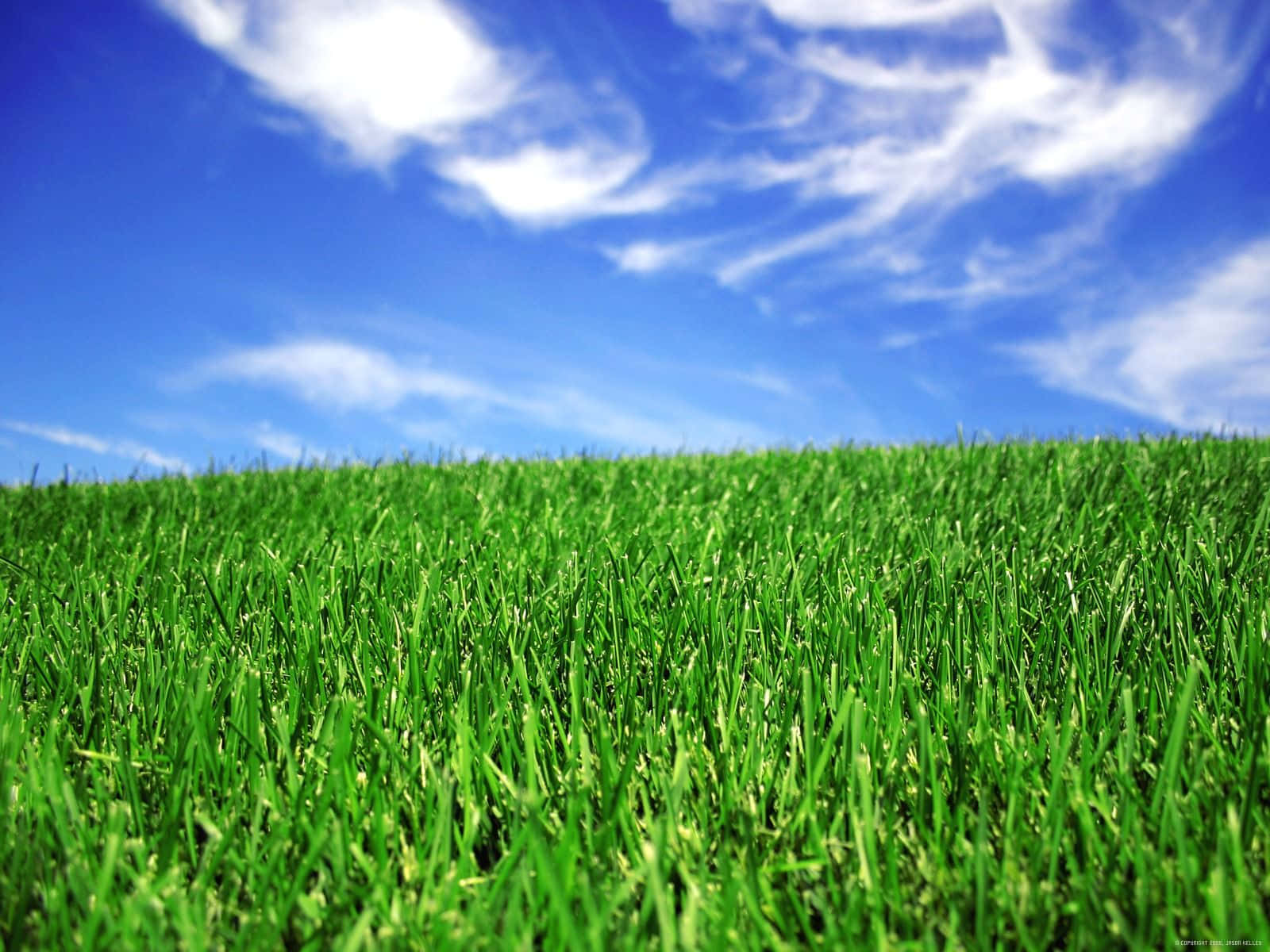 Green Grass Field Sky Clouds Picture