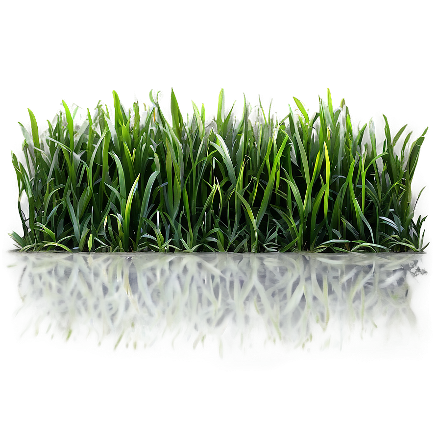 Green Grass Png Lvt PNG