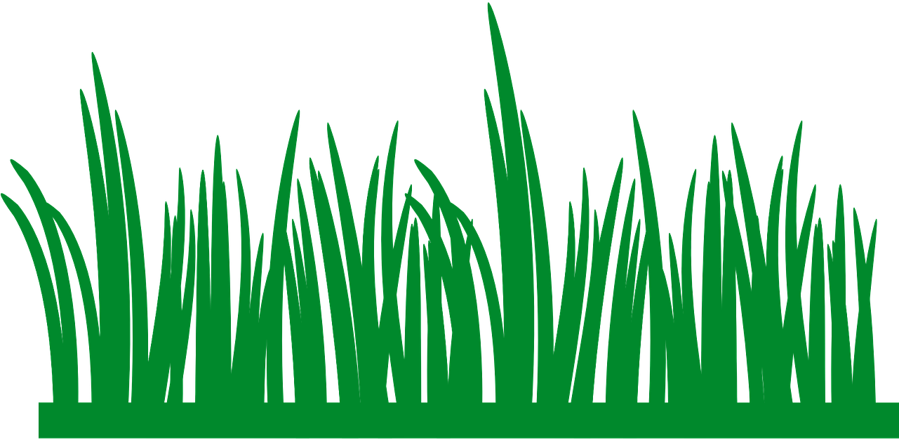 Green Grass Silhouette PNG