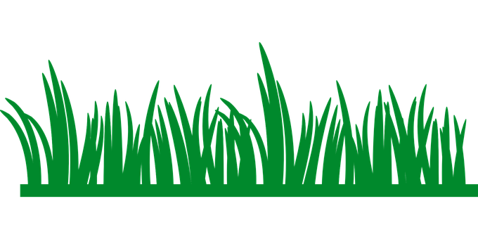 Green Grass Silhouetteon Black Background PNG