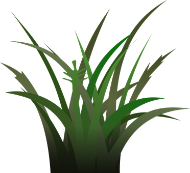 Green Grass Vector Illustration PNG