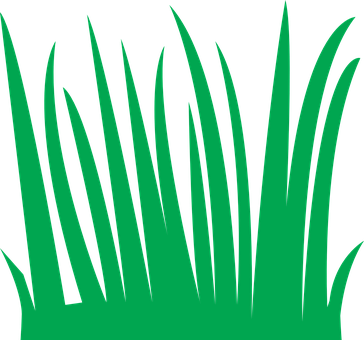 Green Grass Vector Illustration PNG