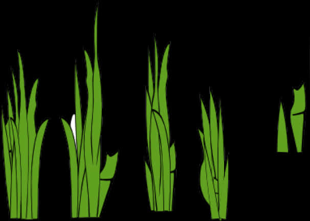 Green Grass Vector Illustration PNG