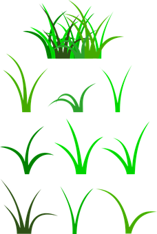 Green Grass Vector Illustration PNG