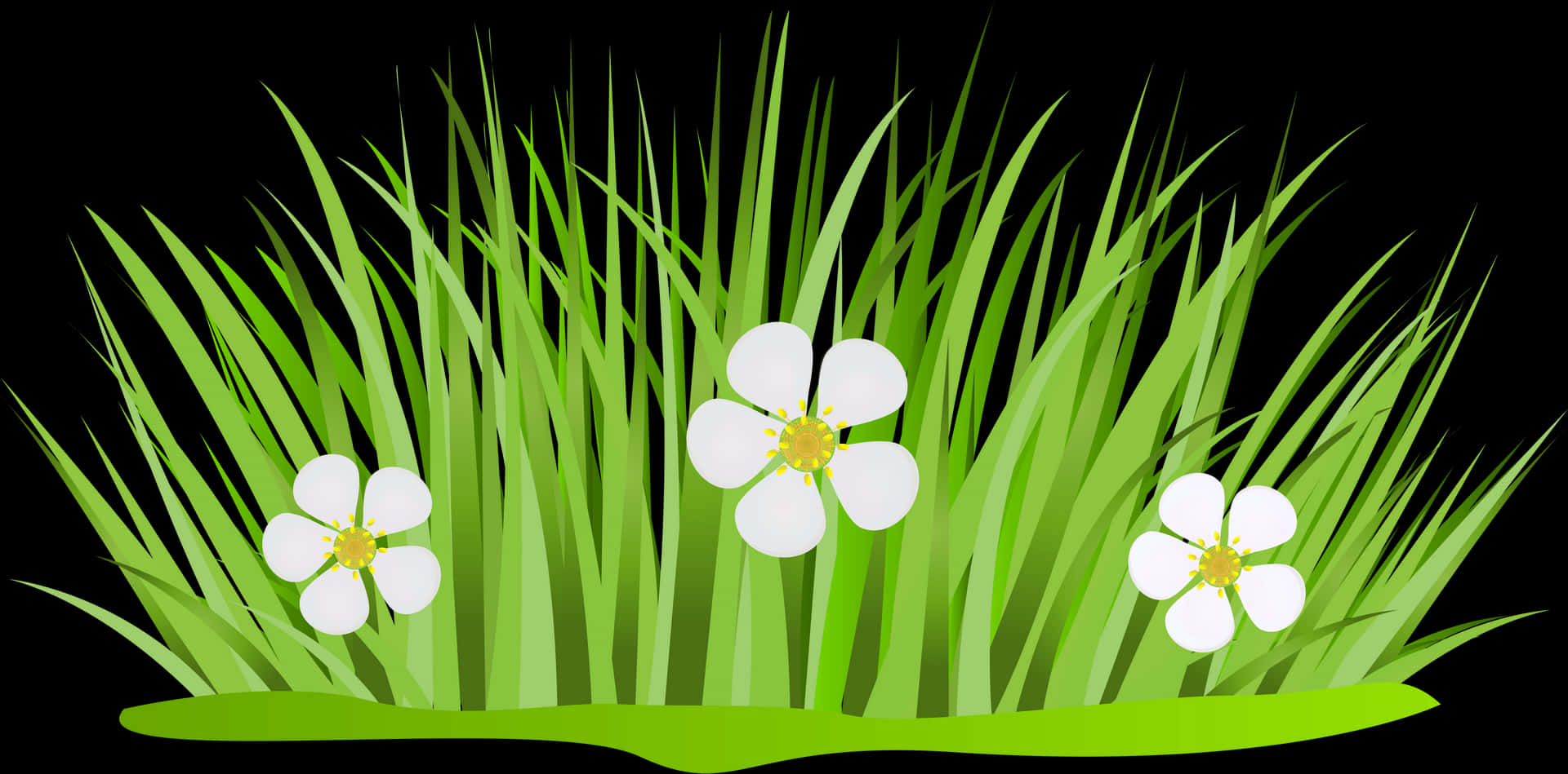 Green Grass White Flowers Vector PNG