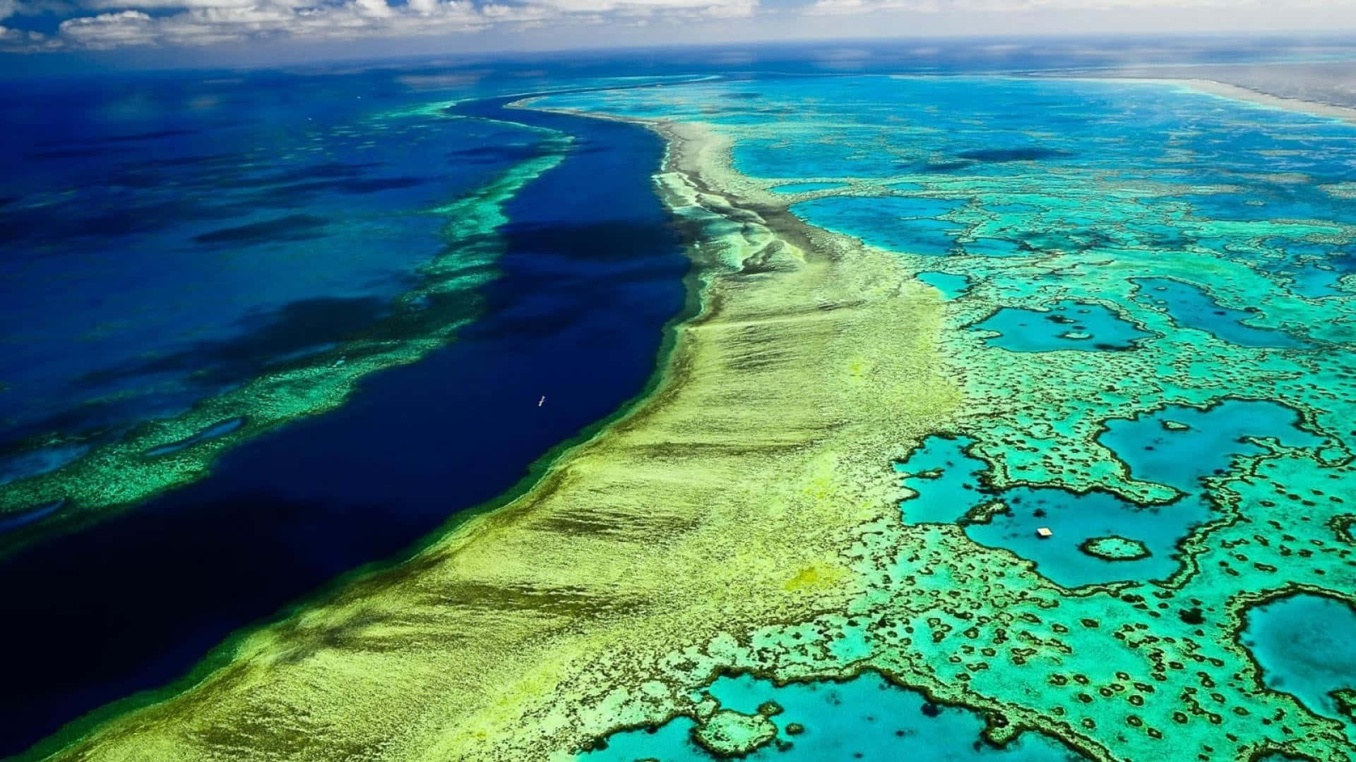Green Great Barrier Reef Marine Park Authority Wallpaper