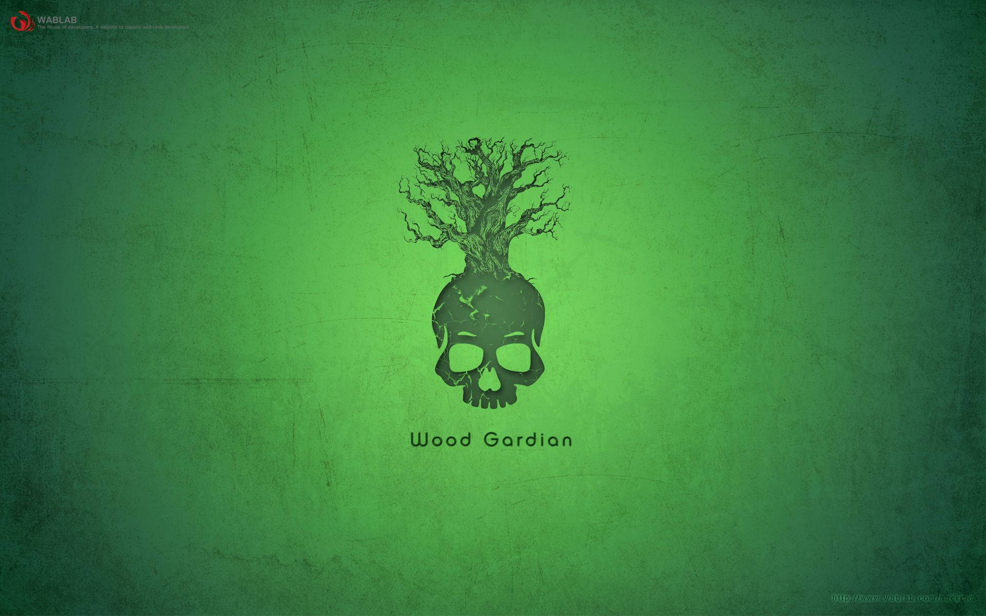 Green Hacker Skull