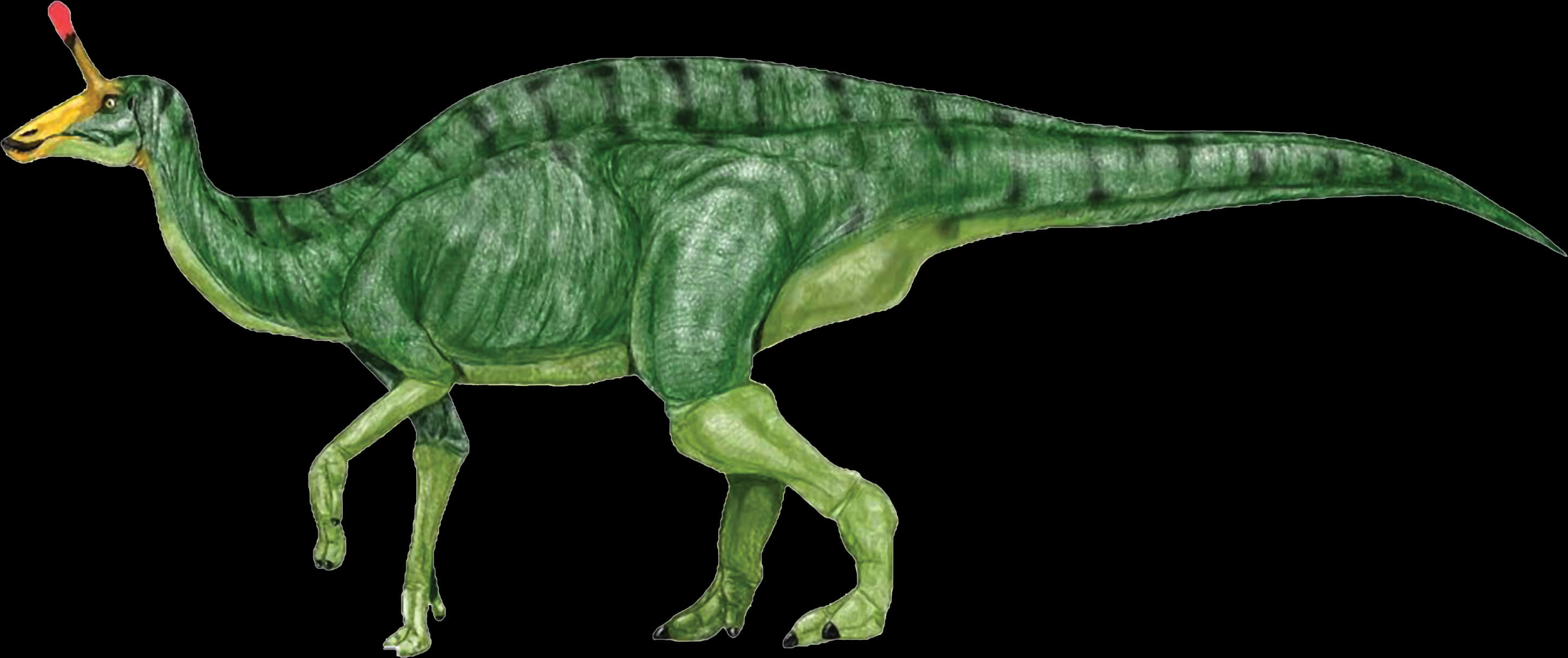 Green Hadrosaur Illustration PNG