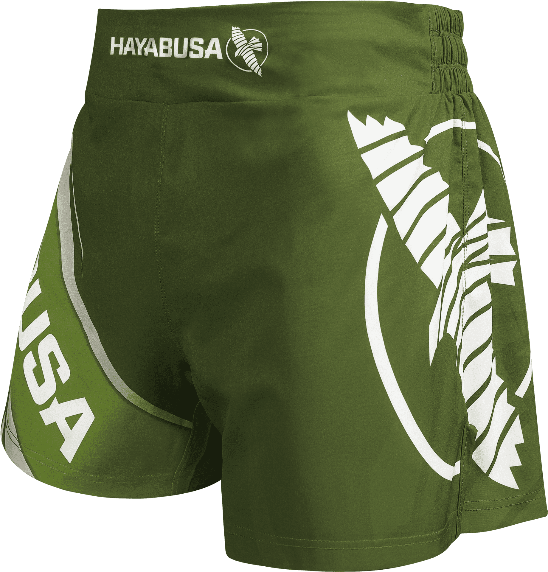 Green Hayabusa Kickboxing Shorts PNG