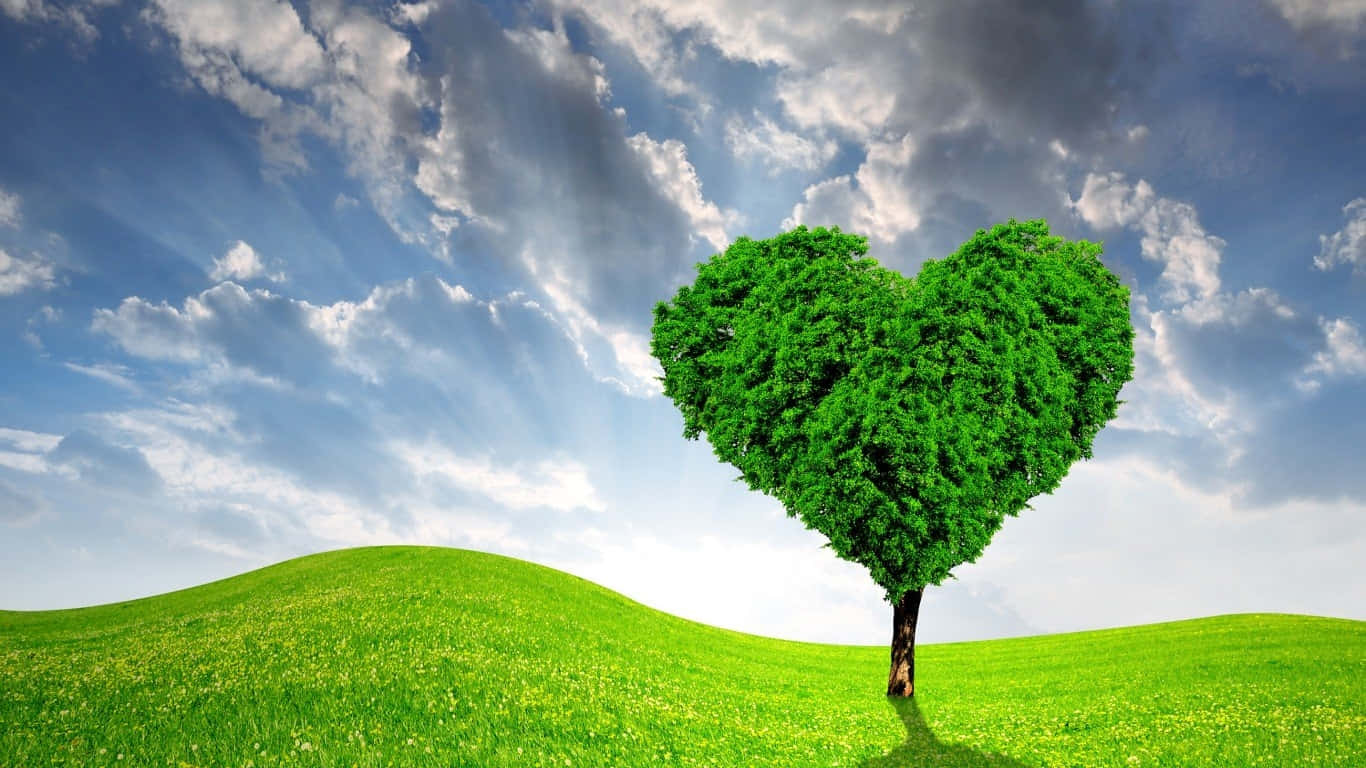 Green Heart on a Green Background