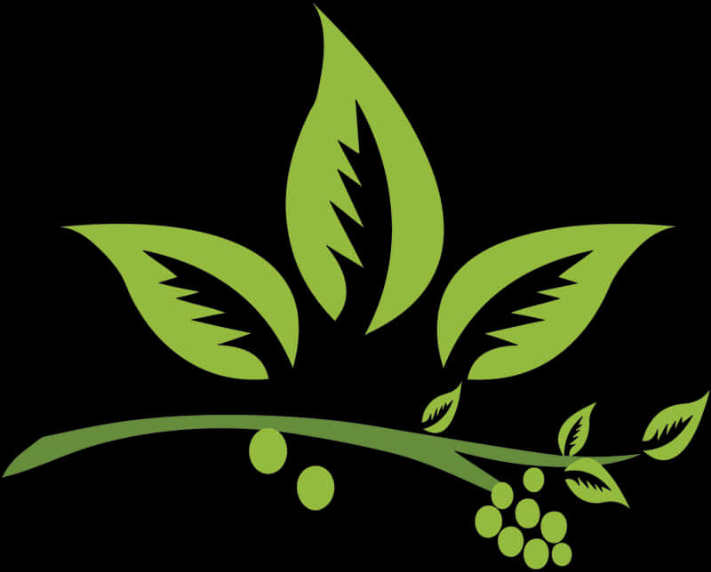 Green Herbal Logo Design PNG