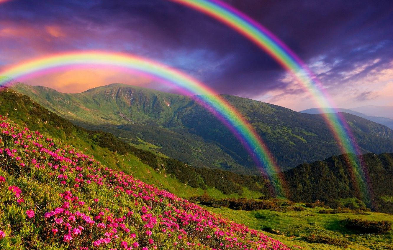 natural rainbow wallpaper desktop